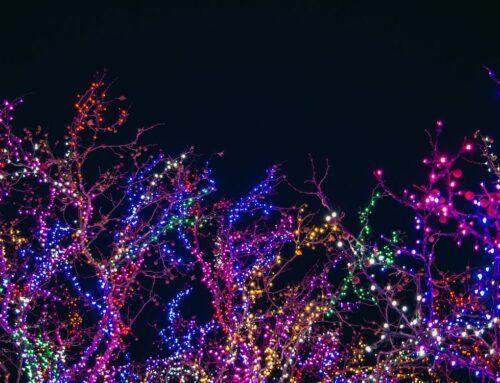 Brighten Up Your Holidays with Seasonal Christmas Lights