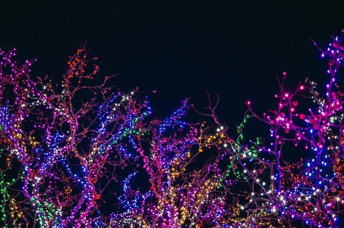 christmas lights beatineon.us